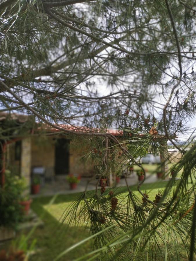Konaki Guesthouse Órmos Panajías Eksteriør bilde